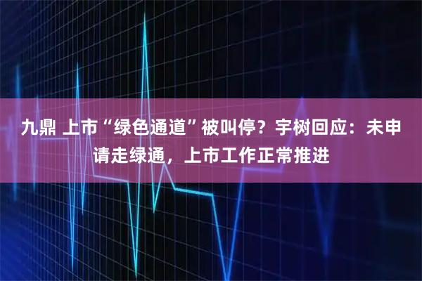 九鼎 上市“绿色通道”被叫停？宇树回应：未申请走绿通，上市工作正常推进