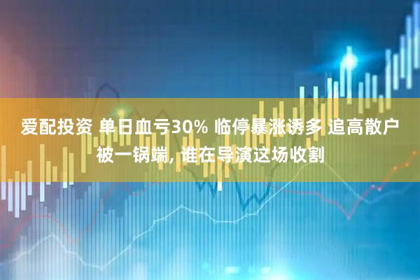 爱配投资 单日血亏30% 临停暴涨诱多 追高散户被一锅端, 谁在导演这场收割