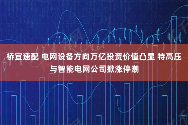 桥宜速配 电网设备方向万亿投资价值凸显 特高压与智能电网公司掀涨停潮