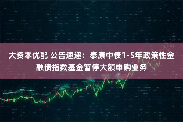 大资本优配 公告速递：泰康中债1-5年政策性金融债指数基金暂停大额申购业务